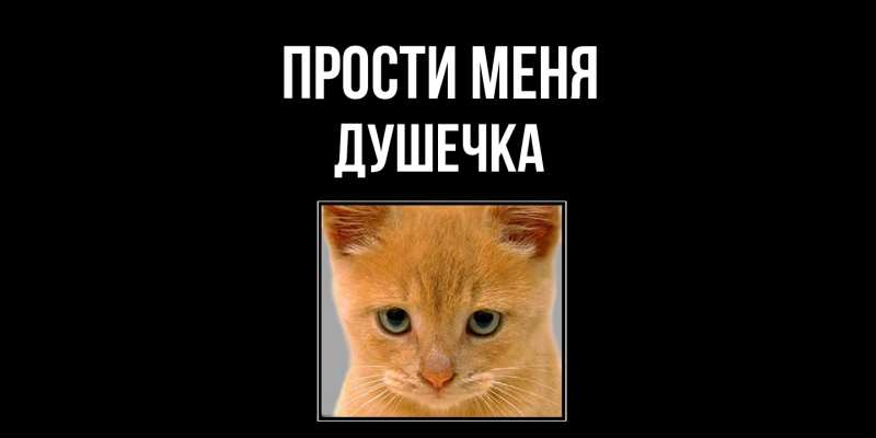 Картинка Прости меня, душечка