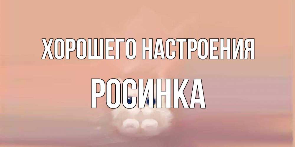 Открытка на каждый день с именем, Росинка Хорошего настроения кошка Прикольная открытка с пожеланием онлайн скачать бесплатно 