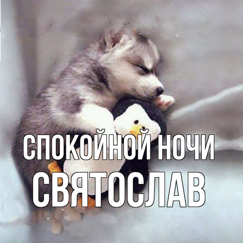 Картинка Спокойной ночи, Святослав