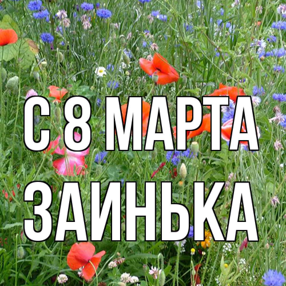 Открытка на каждый день с именем, Заинька C 8 МАРТА международный женский день 4 Прикольная открытка с пожеланием онлайн скачать бесплатно 