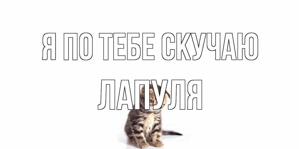 Открытка на каждый день с именем, Лапуля Я по тебе скучаю кот Прикольная открытка с пожеланием онлайн скачать бесплатно 