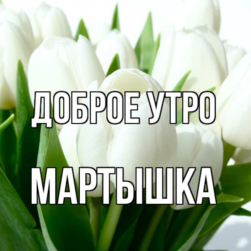 Картинка Доброе утро, Мартышка