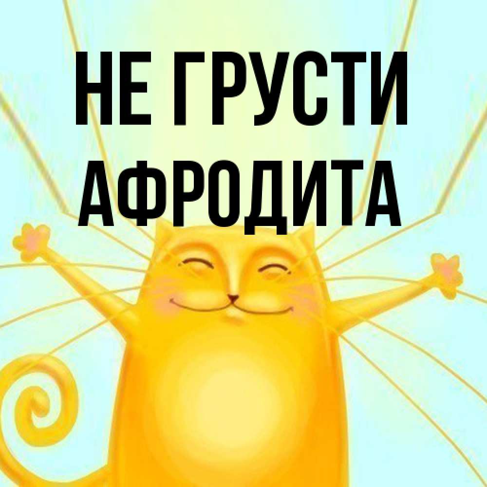 Открытка на каждый день с именем, Афродита Не грусти обнимашки усатые Прикольная открытка с пожеланием онлайн скачать бесплатно 