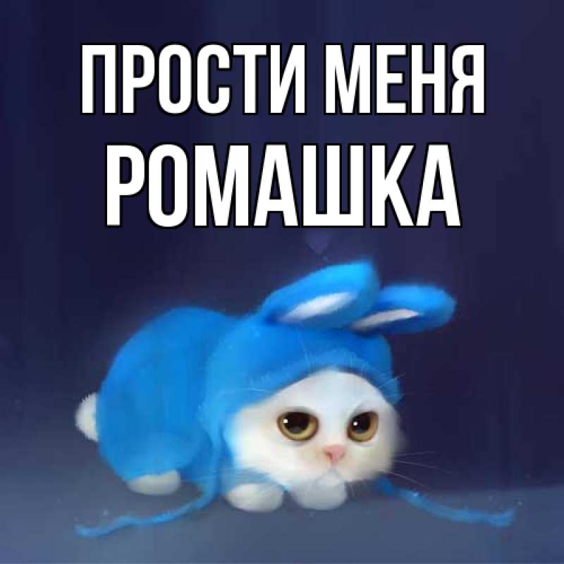 Картинка Прости меня, Ромашка