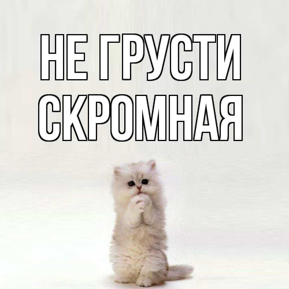 Открытка на каждый день с именем, скромная Не грусти грустный кот Прикольная открытка с пожеланием онлайн скачать бесплатно 