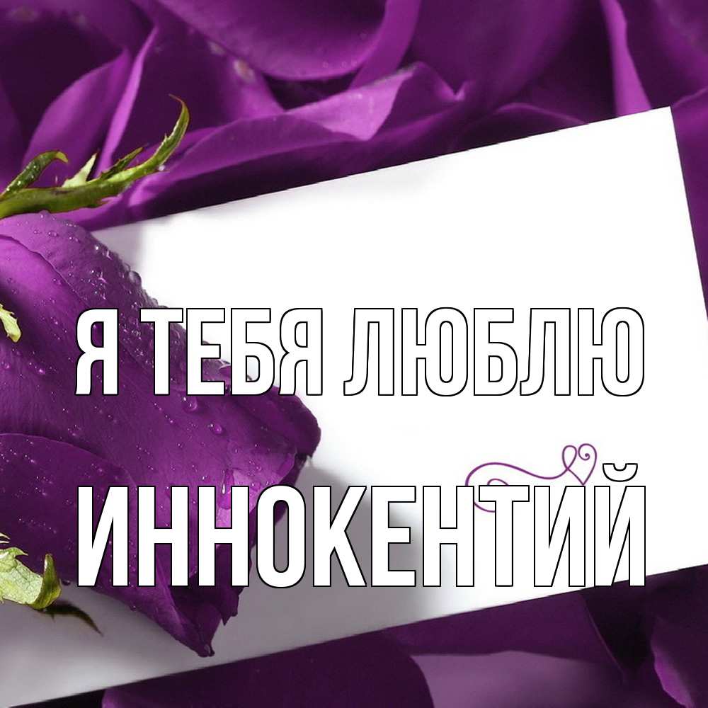 Открытка на каждый день с именем, Иннокентий Я тебя люблю роза Прикольная открытка с пожеланием онлайн скачать бесплатно 