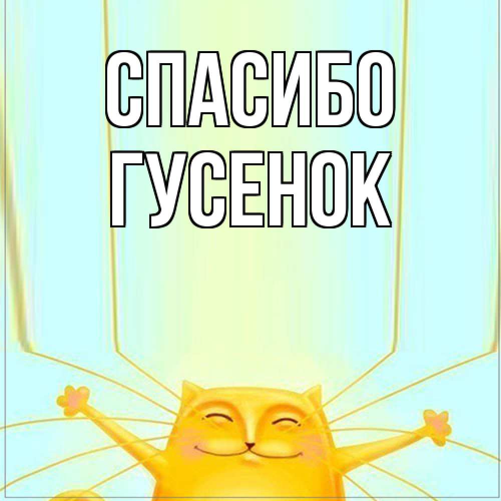 Открытка на каждый день с именем, гусенок Спасибо кот с усами благодарит Прикольная открытка с пожеланием онлайн скачать бесплатно 