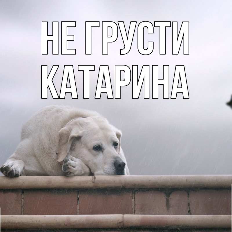 Картинка Не грусти, Катарина