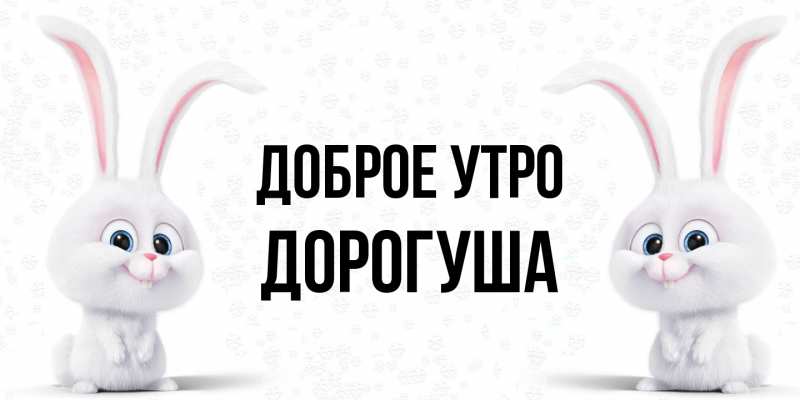 Картинка Доброе утро, дорогуша