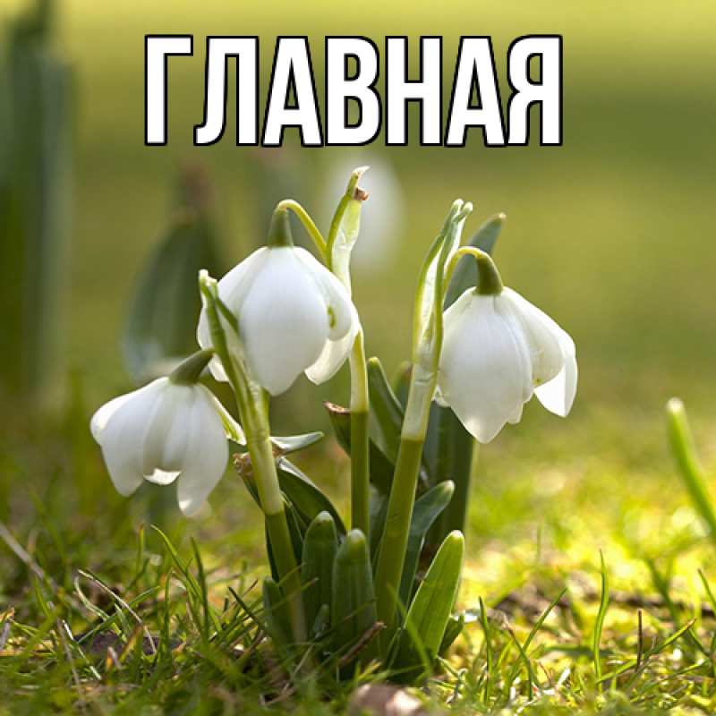 Картинка  с именем , настя