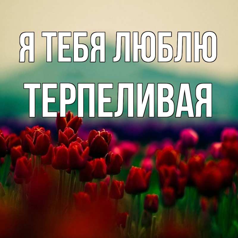 Картинка Я тебя люблю, терпеливая