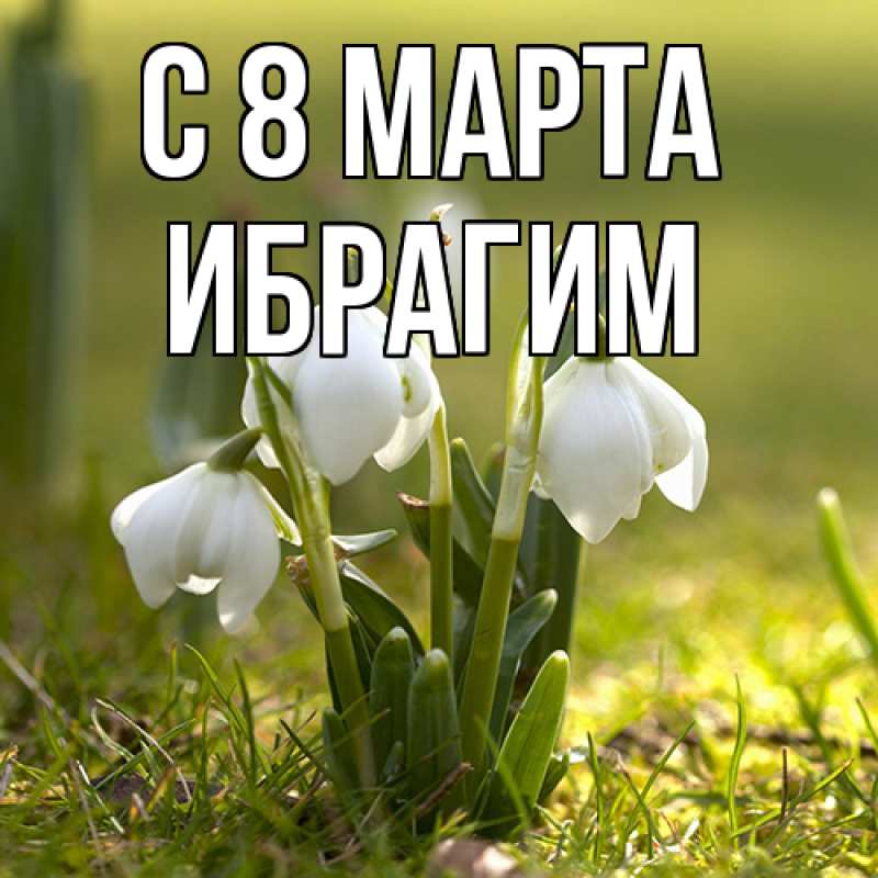 Картинка C 8 МАРТА, Ибрагим
