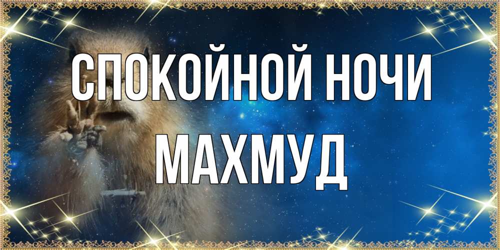 Открытка на каждый день с именем, Махмуд Спокойной ночи спокойной ночи сладких снов Прикольная открытка с пожеланием онлайн скачать бесплатно 
