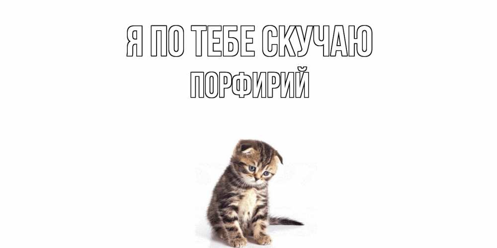 Открытка на каждый день с именем, Порфирий Я по тебе скучаю кот Прикольная открытка с пожеланием онлайн скачать бесплатно 