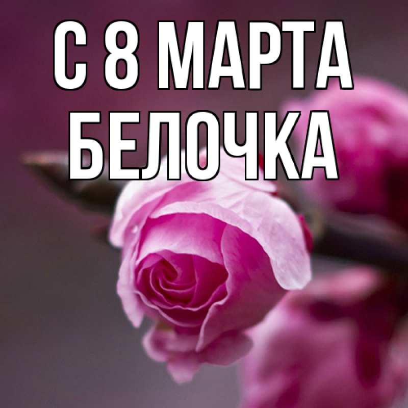 Открытка с именем, Белочка, C 8 МАРТА