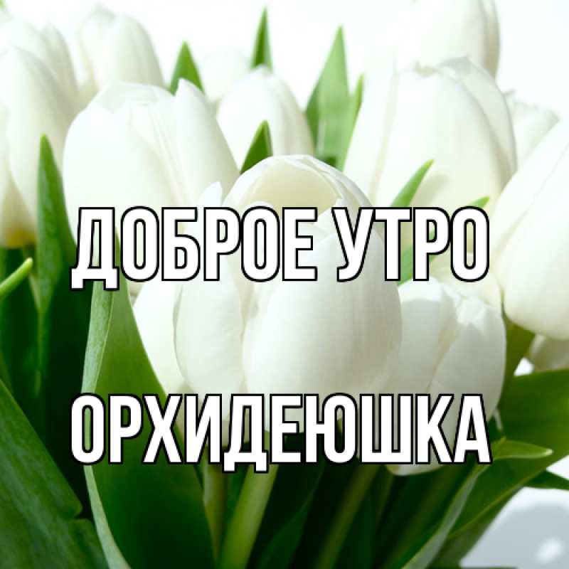 Картинка Доброе утро, Орхидеюшка