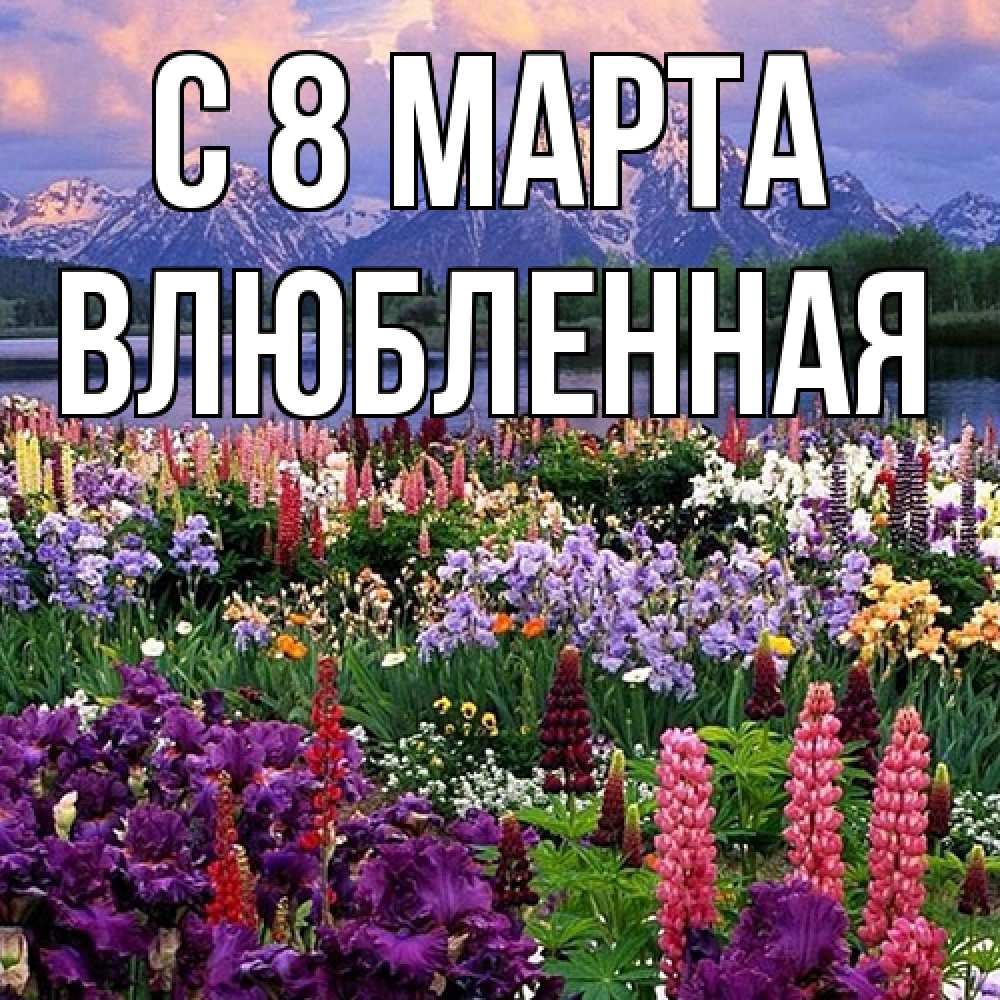 Открытка на каждый день с именем, Влюбленная C 8 МАРТА международный женский день Прикольная открытка с пожеланием онлайн скачать бесплатно 