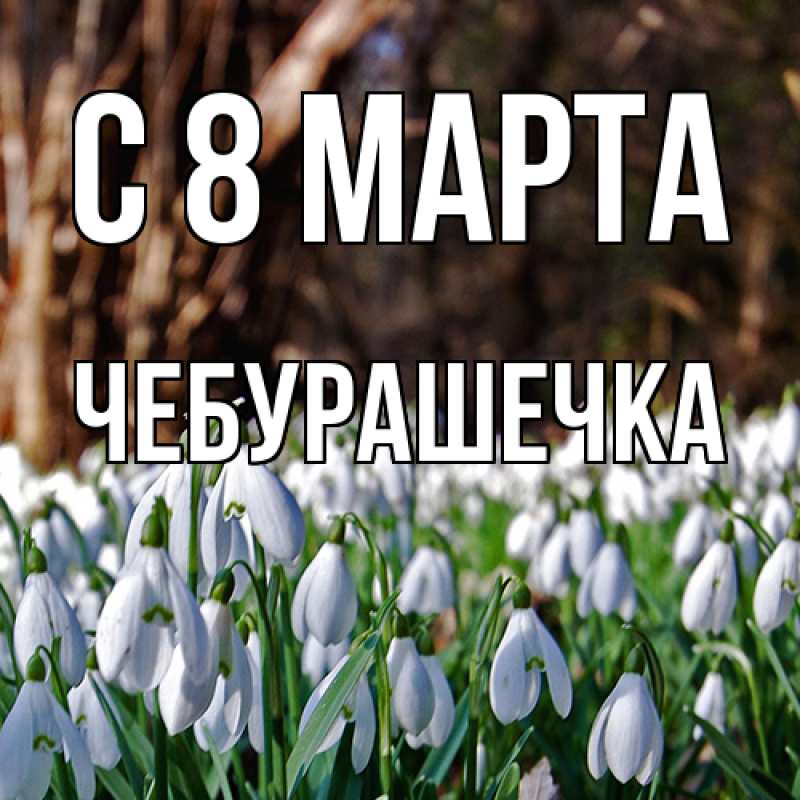 Картинка C 8 МАРТА, Чебурашечка