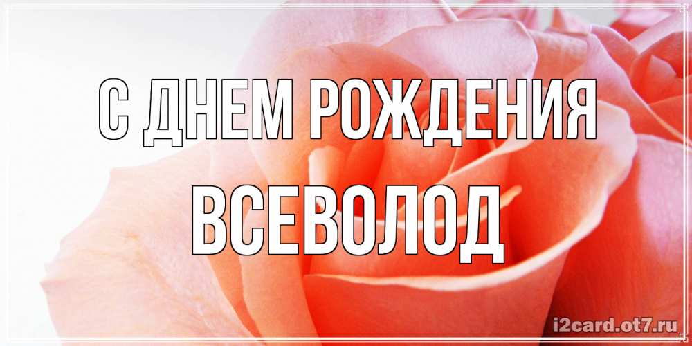 Открытка на каждый день с именем, Всеволод С днем рождения розы для поздравления с днем рождения Прикольная открытка с пожеланием онлайн скачать бесплатно 