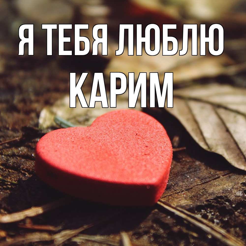 Открытка на каждый день с именем, Карим Я тебя люблю листья деревье 4 Прикольная открытка с пожеланием онлайн скачать бесплатно 
