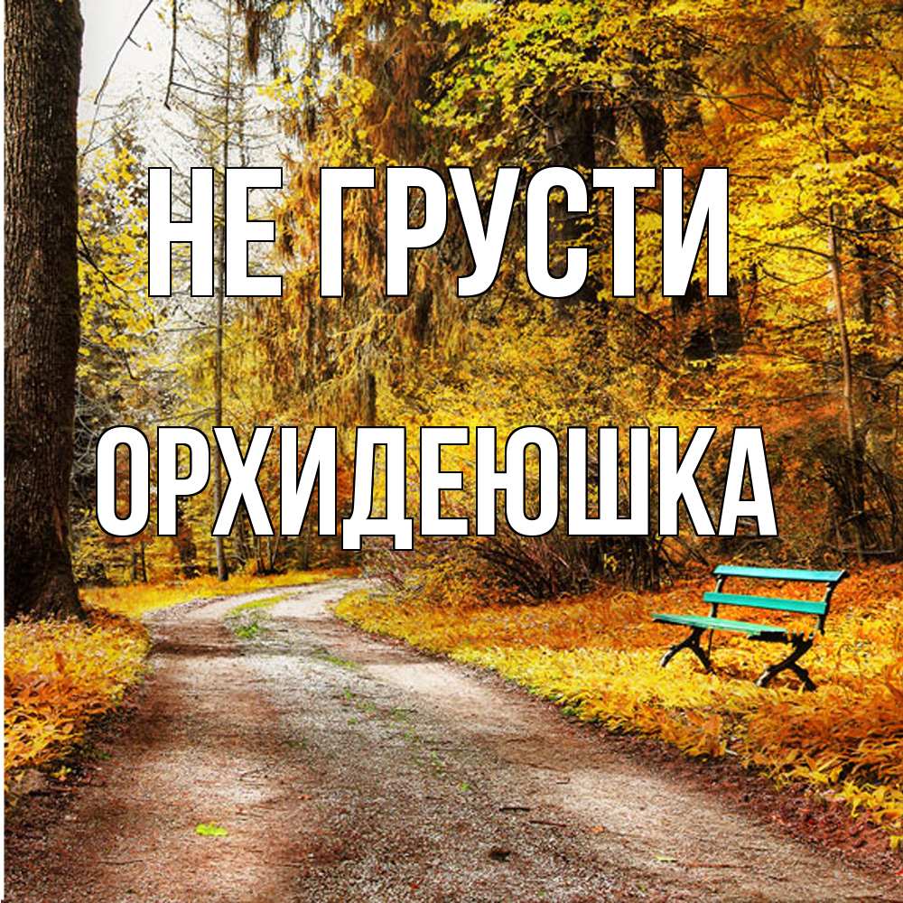 Открытка на каждый день с именем, Орхидеюшка Не грусти зеленая лавочка Прикольная открытка с пожеланием онлайн скачать бесплатно 