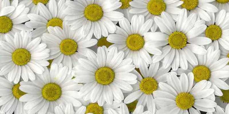 Открытка с именем, Зюзя, Хорошего настроения