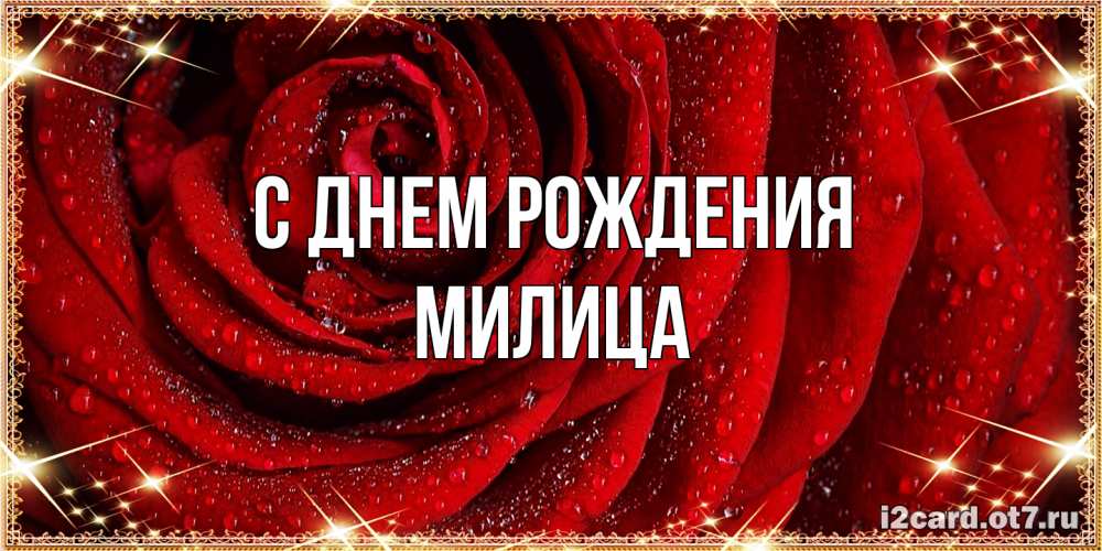 Открытка на каждый день с именем, Милица С днем рождения роса на розе блестящая в лучах солнца Прикольная открытка с пожеланием онлайн скачать бесплатно 