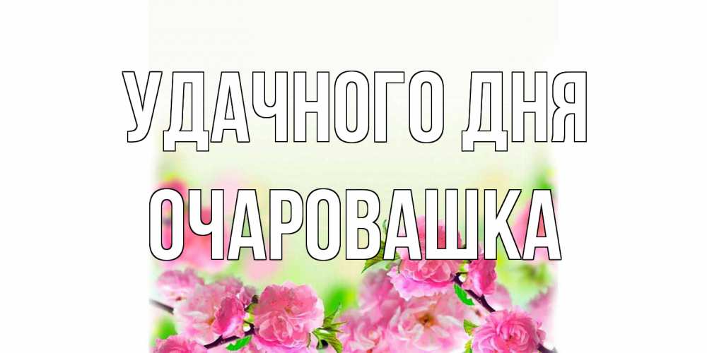 Открытка на каждый день с именем, Очаpовашка Удачного дня цветы Прикольная открытка с пожеланием онлайн скачать бесплатно 