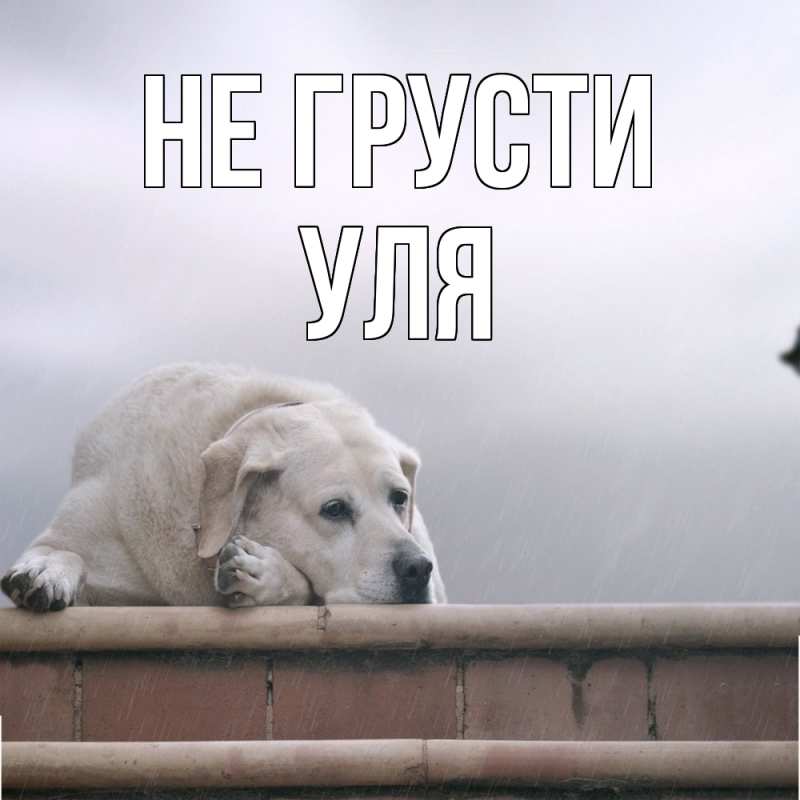 Картинка Не грусти, Уля