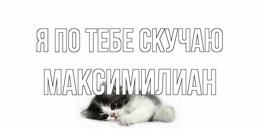 Открытка на каждый день с именем, Максимилиан Я по тебе скучаю кот, скука Прикольная открытка с пожеланием онлайн скачать бесплатно 