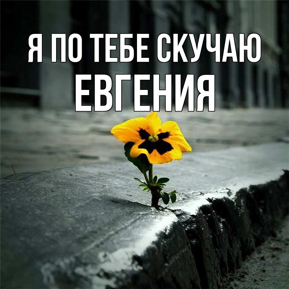 Открытка на каждый день с именем, Евгения Я по тебе скучаю надеюсь будет лучше Прикольная открытка с пожеланием онлайн скачать бесплатно 
