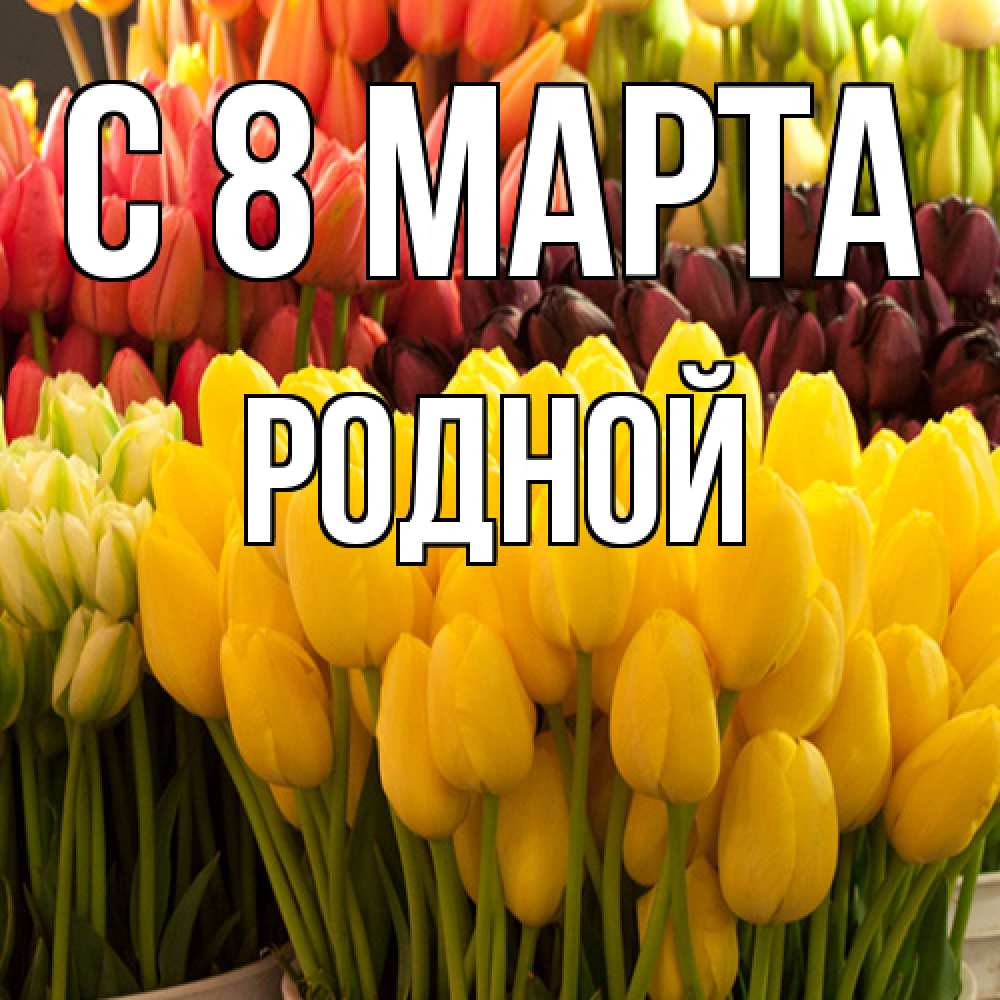 Открытка на каждый день с именем, Родной C 8 МАРТА цветы Прикольная открытка с пожеланием онлайн скачать бесплатно 