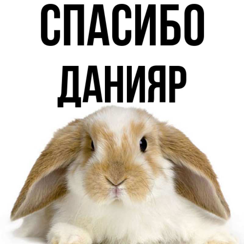 Картинка Спасибо, Данияр