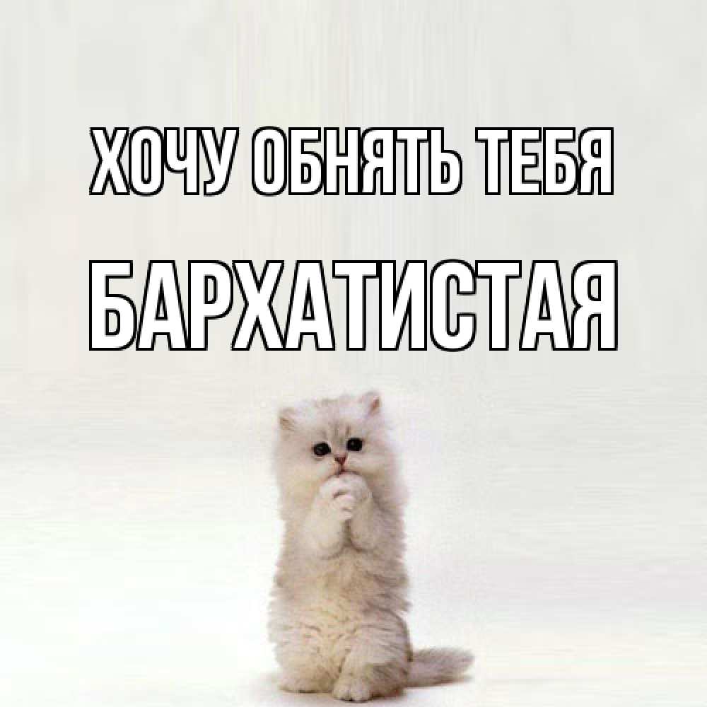 Открытка на каждый день с именем, Бархатистая Хочу обнять тебя открытки с креативными подписями Прикольная открытка с пожеланием онлайн скачать бесплатно 