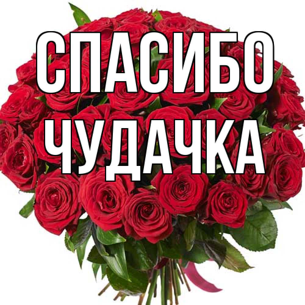 Открытка на каждый день с именем, Чудачка Спасибо букет красных роз Прикольная открытка с пожеланием онлайн скачать бесплатно 