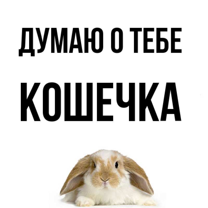 Картинка Думаю о тебе, кошечка