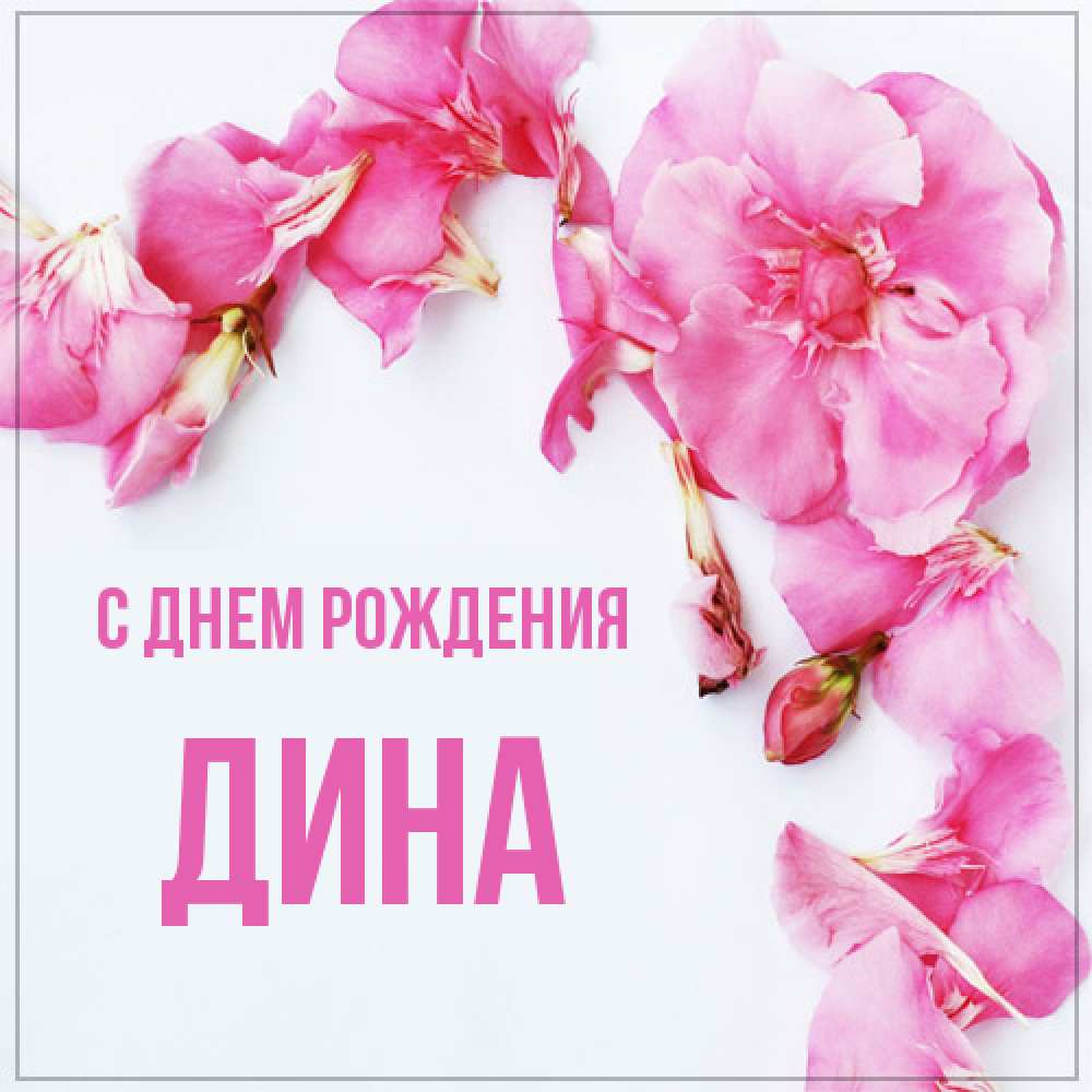 Открытка на каждый день с именем, Дина С днем рождения Красивая открытка для поздравления с днем рождения Прикольная открытка с пожеланием онлайн скачать бесплатно 