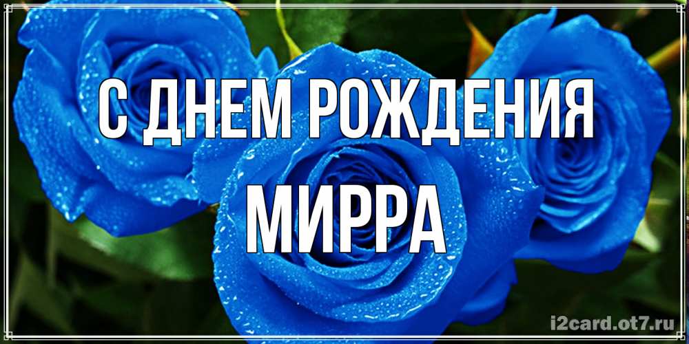 Открытка на каждый день с именем, Мирра С днем рождения розы с синим цветом Прикольная открытка с пожеланием онлайн скачать бесплатно 