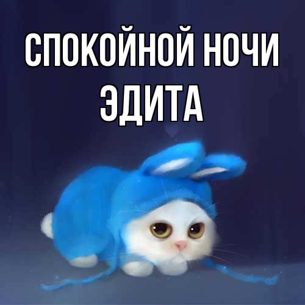 Открытка на каждый день с именем, Эдита Спокойной ночи кот в голубом костюме кролика с ушками Прикольная открытка с пожеланием онлайн скачать бесплатно 