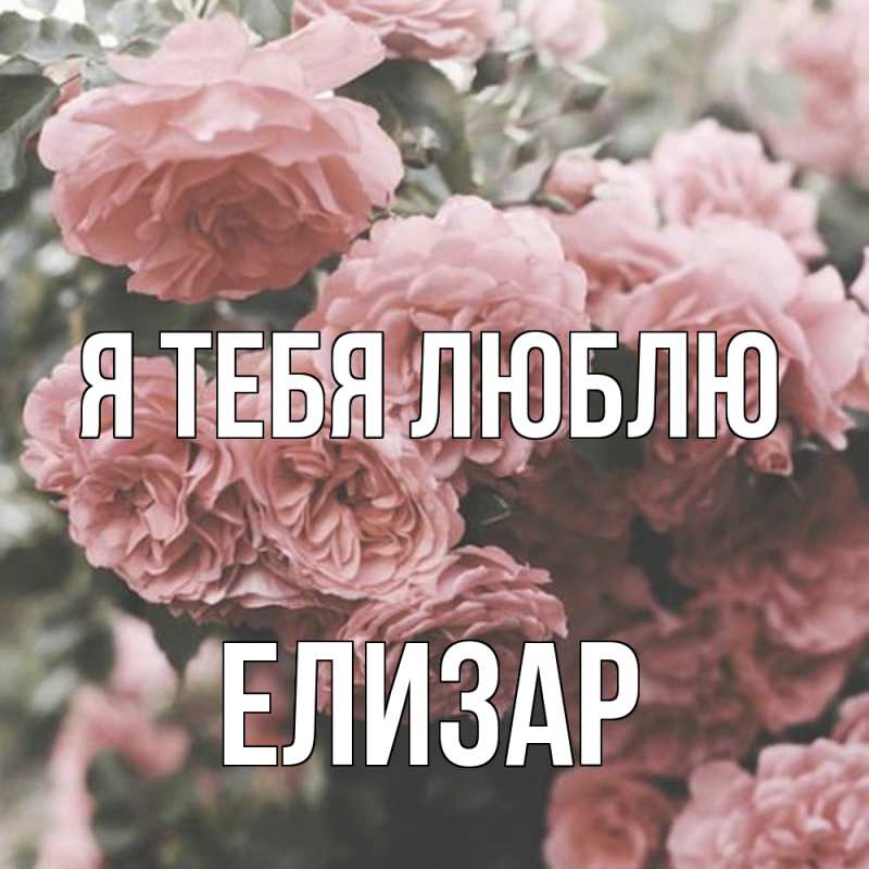 Картинка Я тебя люблю, Елизар