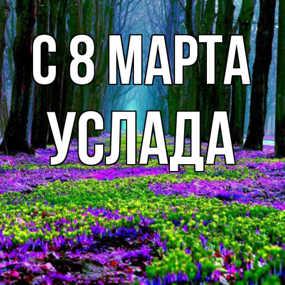 Открытка на каждый день с именем, услада C 8 МАРТА фиолетовые цветы в лесу 1 Прикольная открытка с пожеланием онлайн скачать бесплатно 