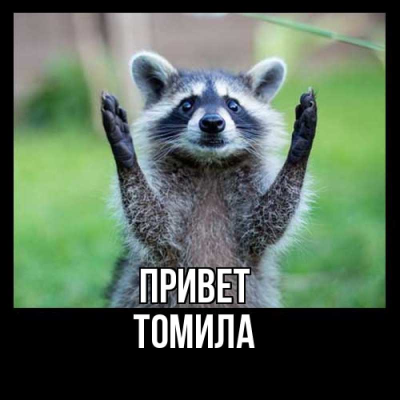 Картинка Привет, Томила