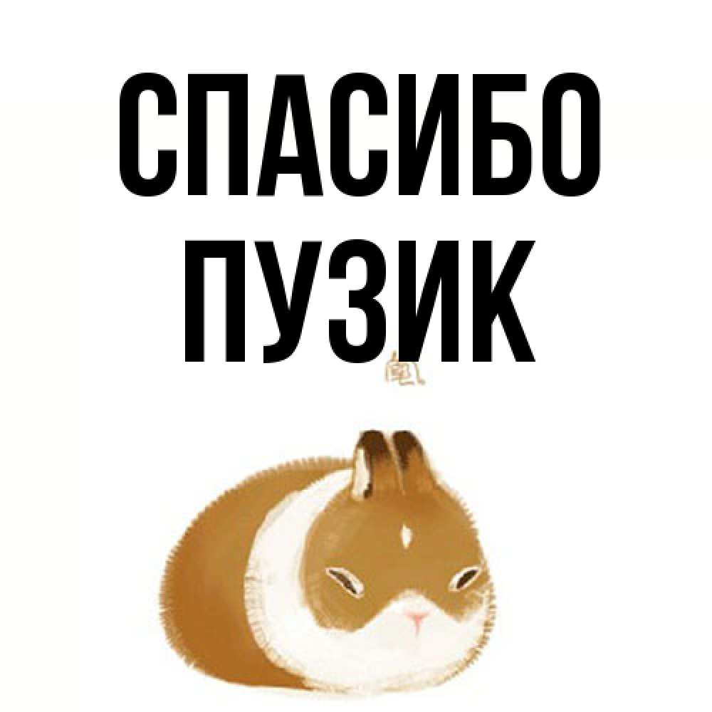 Открытка на каждый день с именем, Пузик Спасибо коричнево белый домашний питомец Прикольная открытка с пожеланием онлайн скачать бесплатно 