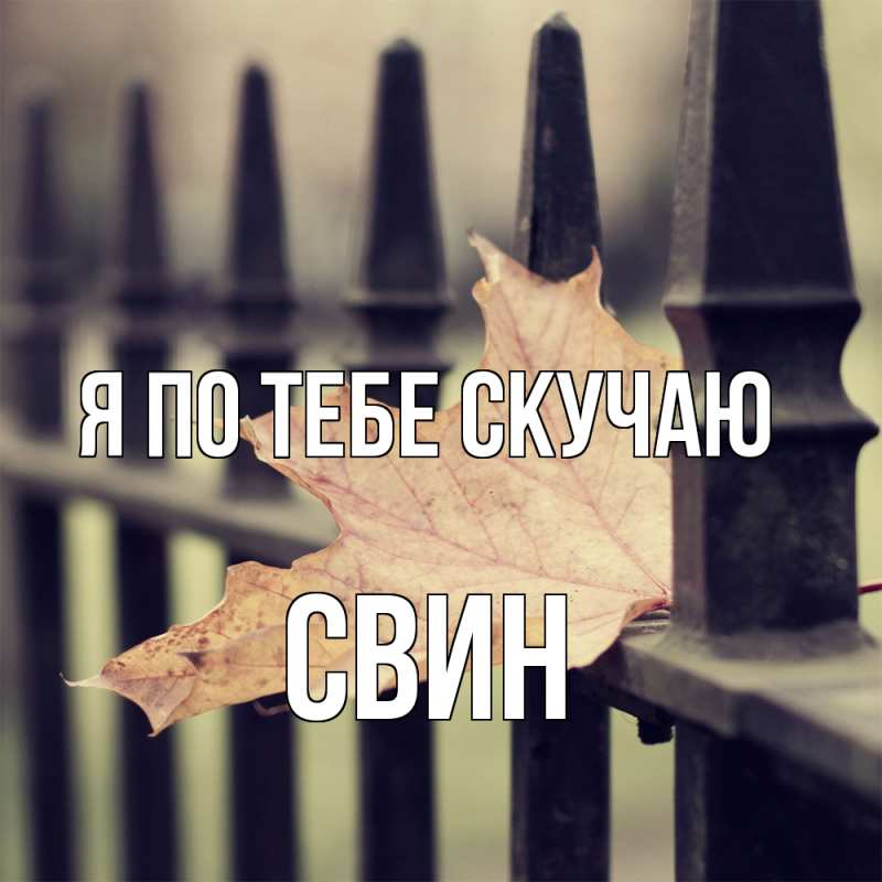 Картинка Я по тебе скучаю, Свин