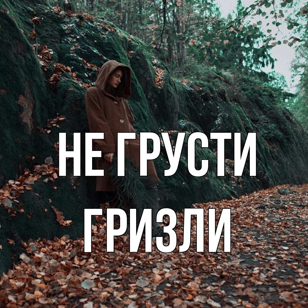 Открытка на каждый день с именем, Гризли Не грусти осенний лес Прикольная открытка с пожеланием онлайн скачать бесплатно 