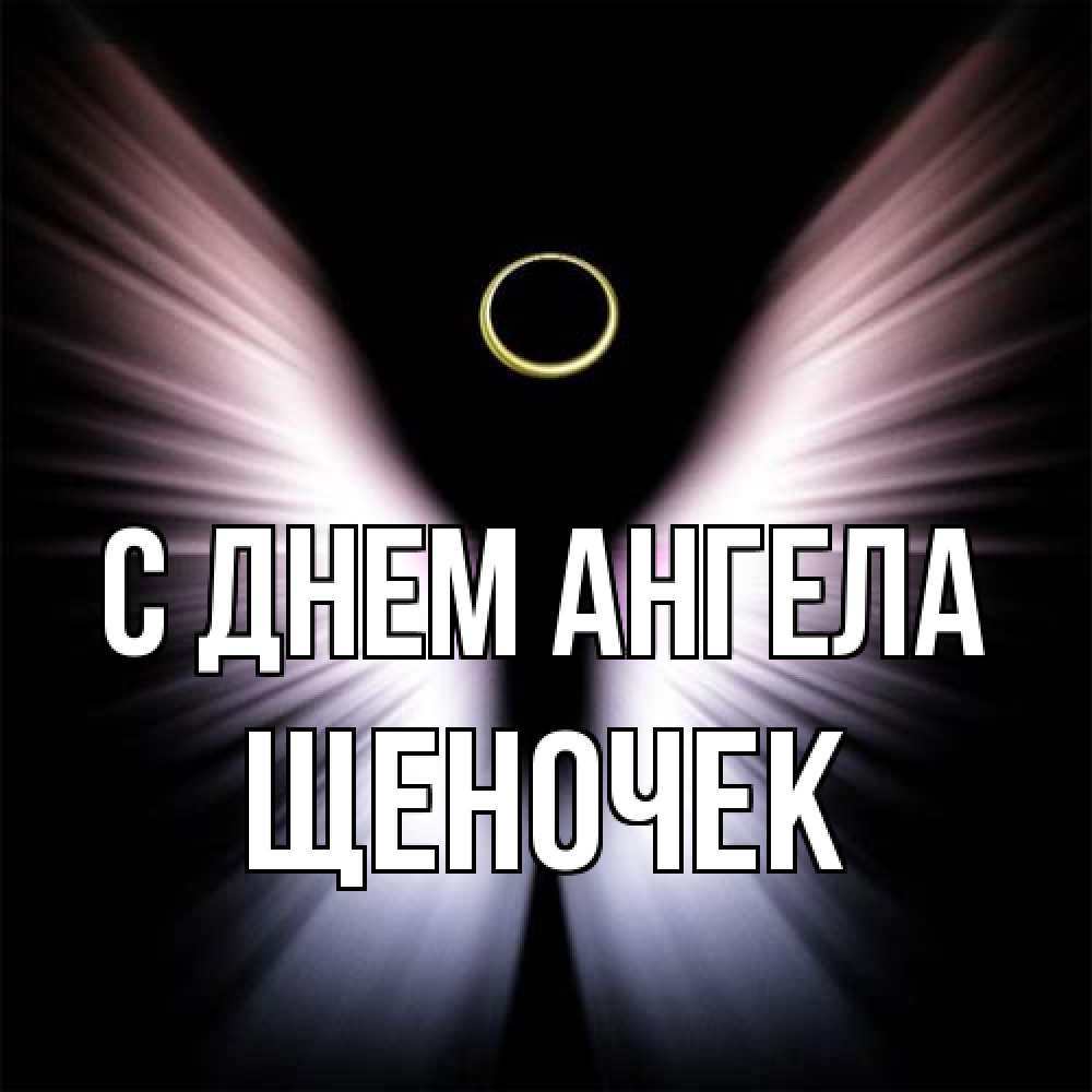 Открытка на каждый день с именем, Щеночек С днем ангела ангел из света Прикольная открытка с пожеланием онлайн скачать бесплатно 
