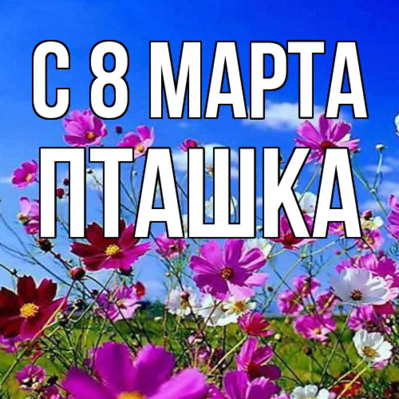 Картинка C 8 МАРТА, пташка