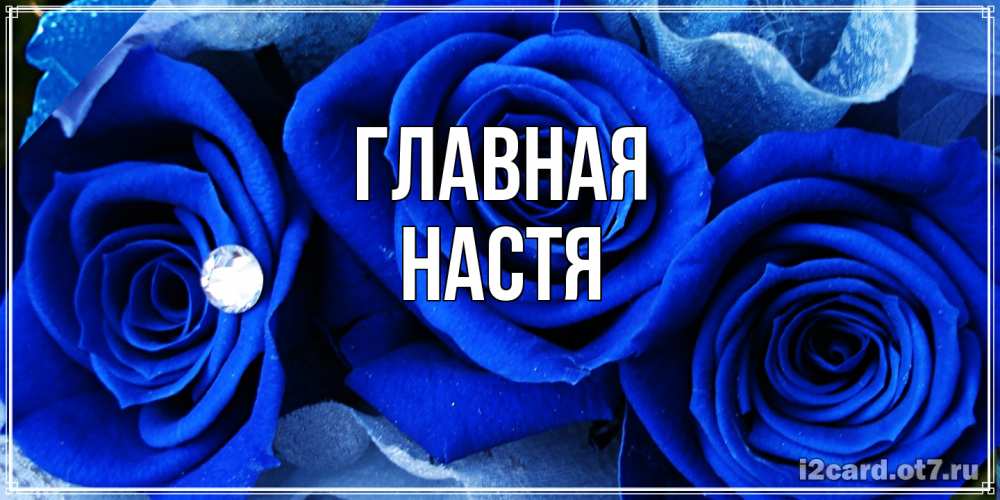 Открытка на каждый день с именем, настя Главная синие розы в росе Прикольная открытка с пожеланием онлайн скачать бесплатно 