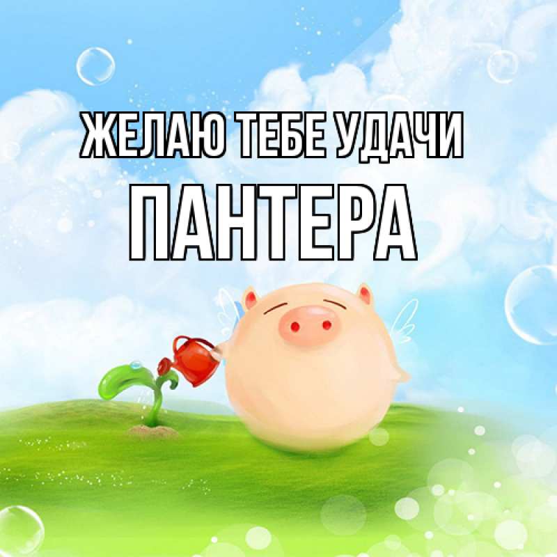 Картинка Желаю тебе удачи, Пантера