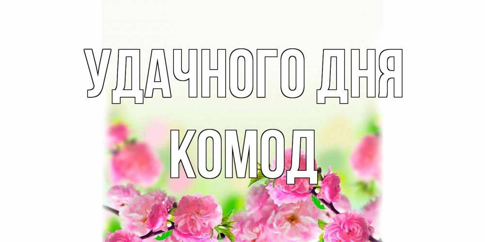 Открытка на каждый день с именем, Комод Удачного дня цветы Прикольная открытка с пожеланием онлайн скачать бесплатно 